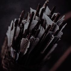 an arrangement of feathers in a basket on a table, with dark lighting behind them