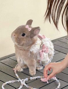 a small rabbit dressed up as a bride on a wooden floor with beads and pearls