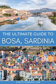 the ultimate guide to bosa, sardina