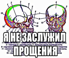 an image of two human skulls with the words in russian and english written below them