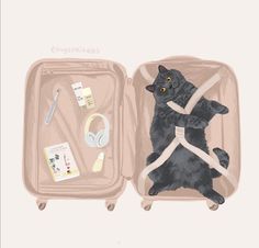 an illustration of a cat in a suitcase with headphones and earbuds on