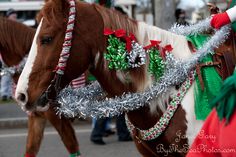 two horses with christmas decorations on their heads walking down the street in front of people