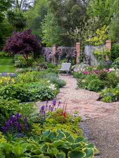 a garden with lots of plants and flowers