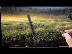 a hand holding a pair of scissors in front of a barbed wire fence and grassy field