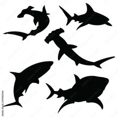 sharks silhouettes on white background royalty illustration