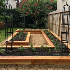 a garden with lots of plants in it