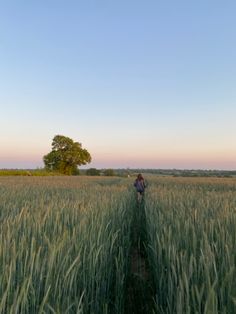 a person walking through tall grass in the middle of an open field with a tree behind them