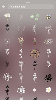 an iphone screen with flowers and plants drawn on it