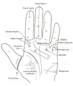 Palm Reading Charts, Palmistry Reading, Palm Lines, Reading Charts, Face Reading, Palm Reading, Spell Book, Tarot Spreads, Book Of Shadows