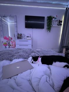 a black and white cat laying on top of a bed next to a laptop computer