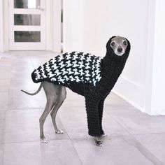 a dog is wearing a sweater made to look like an ostrich with hounds on it