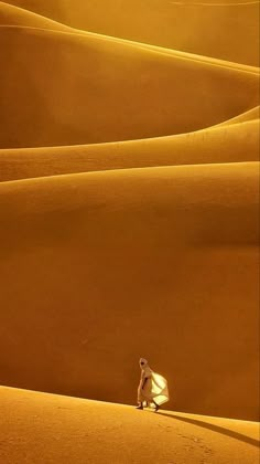 a person standing in the middle of a desert