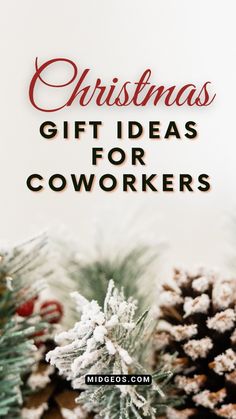 christmas gift ideas for coworkers with pine cones and fir trees in the background