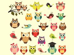 an image of many different owls and birds