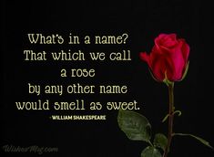 a red rose sitting on top of a black table next to a quote from william shakespeare