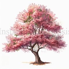 a watercolor painting of a pink tree