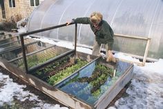 a young boy standing in front of a greenhouse filled with lettuce and plants