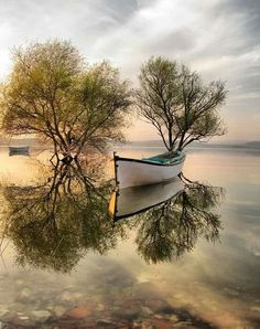 a small boat sitting on top of a body of water next to two tree's