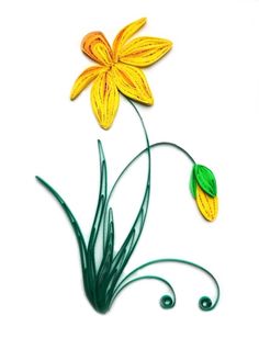 two yellow flowers with green leaves are on a white background and one is in the shape of a flower