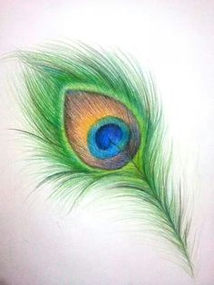 a colored pencil drawing of a peacock feather