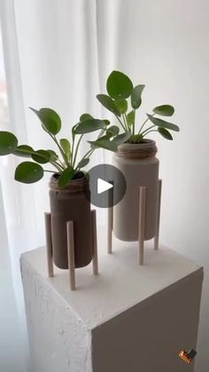 three planters sitting on top of a white block