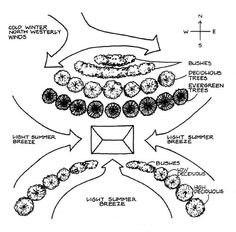 an image of the structure of plants and flowers