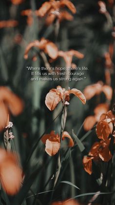 an image of flowers with a quote on it