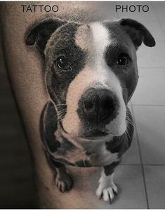 a black and white photo of a dog's face with the words tattoo on it