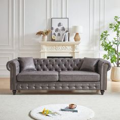 a living room with a couch, coffee table and potted plant on the floor