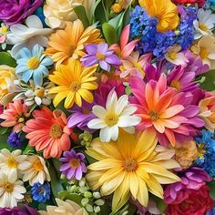 a bunch of colorful flowers that are in the middle of each other's petals