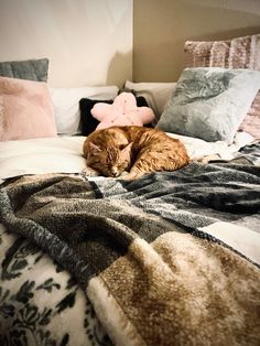 an orange cat laying on top of a bed covered in blankets and pillows next to a teddy bear