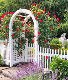 a white picket fence with red roses growing on it and purple flowers in the foreground