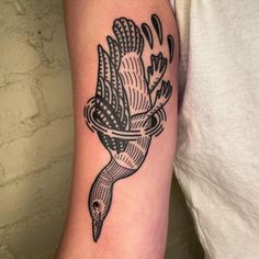 a tattoo on the arm of a person with a bird in it's beak