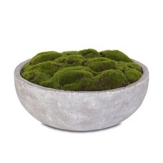 a bowl filled with moss sitting on top of a white table