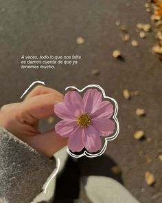 a person holding a pink flower in their left hand with the caption'a vececias, podio de que nos fals noes