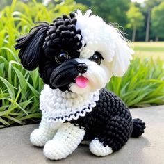 a small black and white dog sitting on top of a cement ground next to grass