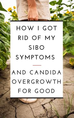 Health Pics, Pics For Vision Board, Candida Cleanse Diet, Get Rid Of Candida, I Healed, Candida Diet Recipes, Candida Cleanse