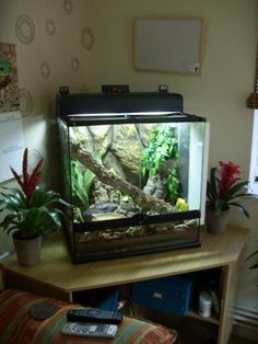 a fish tank sitting on top of a table next to a remote control and plant