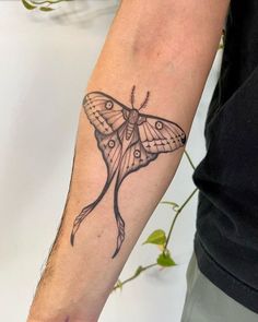 a small moth tattoo on the left forearm and right arm, it is black and white