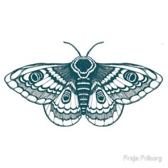 a blue and white moth with wings spread out to the side, on a white background