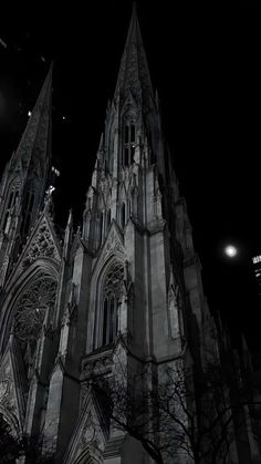 an old gothic cathedral lit up at night