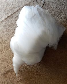 a large white piece of cloth on the floor next to a cat's head