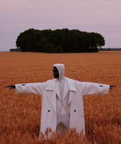 a scarecrow standing in a wheat field with his arms spread out to the side