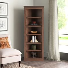 a living room with a chair and book shelf