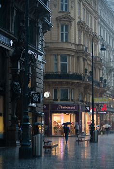 people are walking down the street in the rain