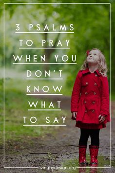 God's Word is powerful when we read it, but doubly so when we pray it! Today, I'm sharing my 3 favorite psalms to pray when I don't know what to say. 3 Psalms to Pray when You Don't Know what to Say. I hope these prayers encourage you, and give you a place to start when you are feeling stuck in the mud. #prayers #dailyprayer #pray Intercessory Prayer Examples, Godly Homemaking, Psalm 55, Stuck In The Mud, Prayers For Strength, How To Pray, Prayer For Family, Prayer Verses