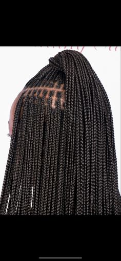 Small Notlessbox Braids Styles Long, Small Parts Box Braids, Small Plaits Box Braids, Tiny Knotless Box Braids, Small Full Knotless Braids, Small Short Knotless Braids, Mini Knotless Box Braids, Extra Small Braids, Tiny Knotless Braids