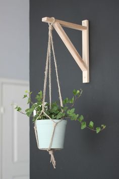 a potted plant hanging from a wooden frame