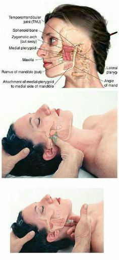 Punkty Spustowe, Tmj Relief, Facial Anatomy, Reflexology Massage, Therapeutic Massage, Massage Techniques, Massage Therapist, Reflexology, Acupressure