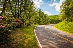 an empty road in the middle of a wooded area